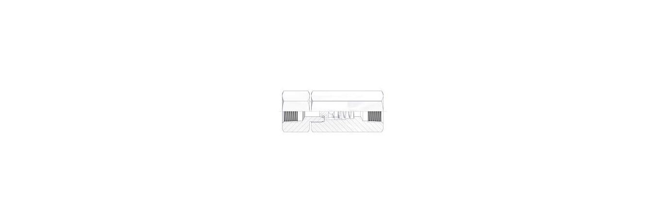 AS-0000-check-valves-CV-type-1-EN