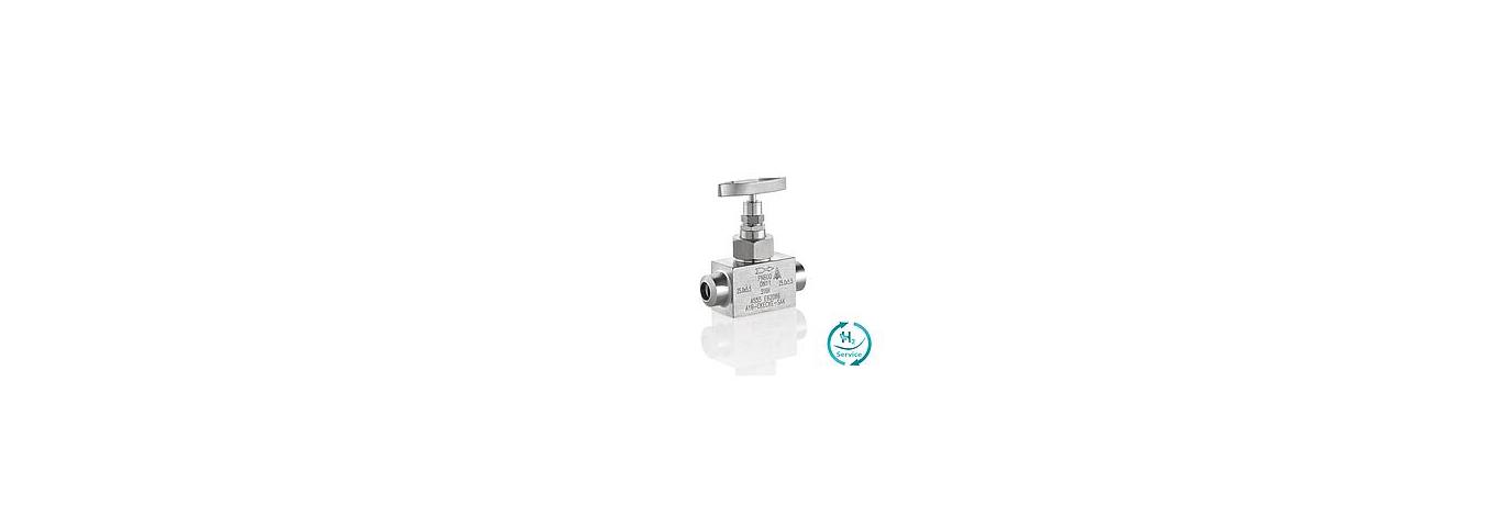 AS-1001-needle-type-globe-valves-type-A1-photo-A1B-CKECKE