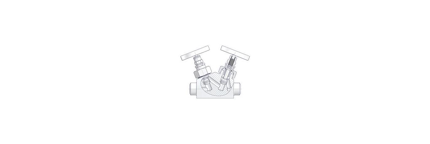 AS-1001-union-bonnet-tandem-valves-type-B1-features-2-EN