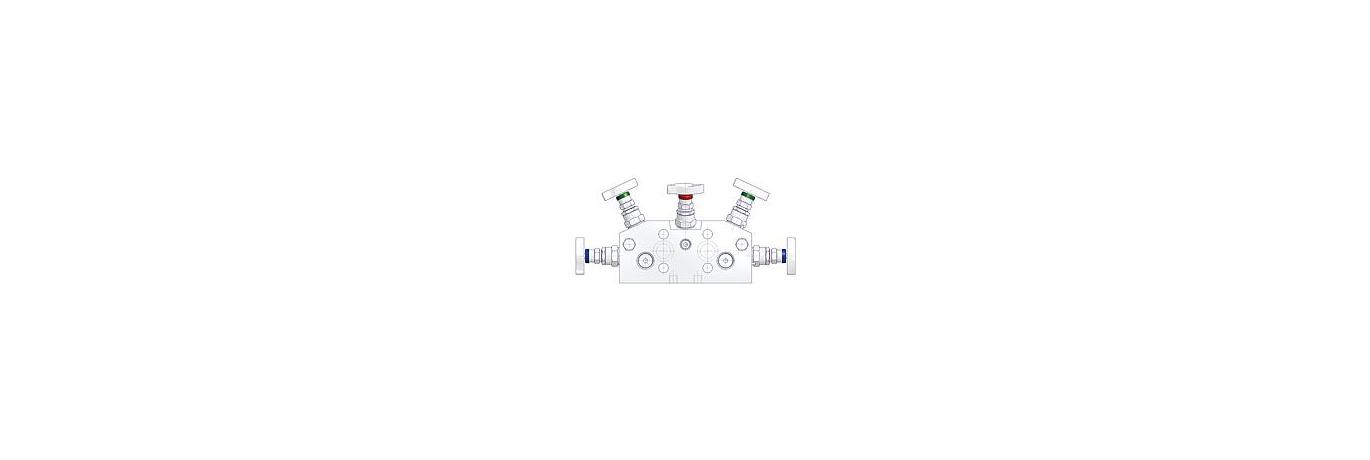 AS-2601-5-valve-manifolds-with-natural-gas-metering
