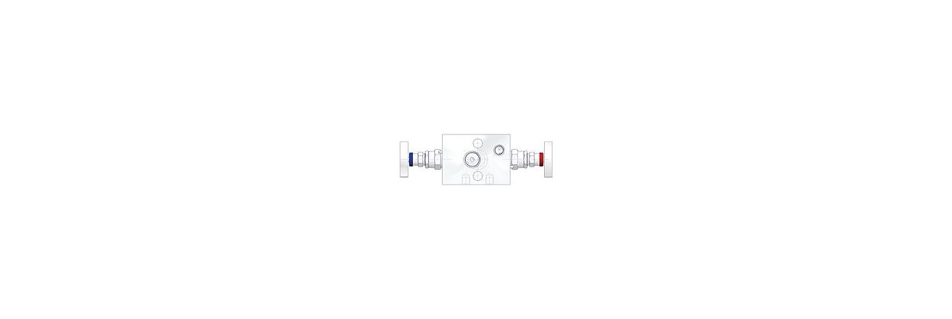 AS-2601-direct-mount-manifolds-wafer-style-2-valve-m