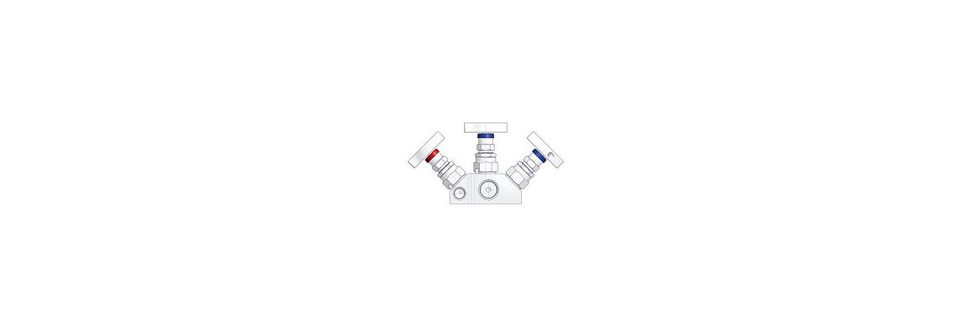 AS-2601-double-block-and-bleed-manifolds-w-shape