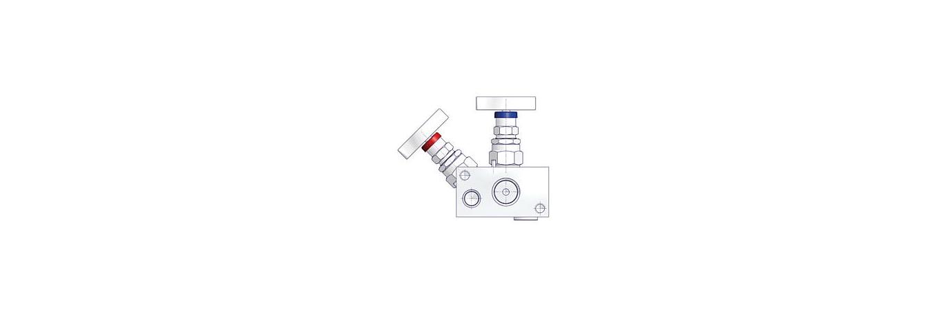 AS-2601-enclosure-manifolds-2-valve-manifolds-DIN-EN-61518-E2AA-type
