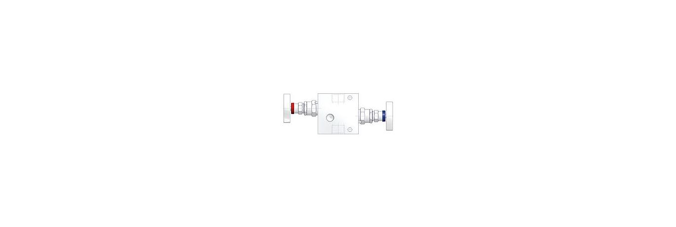 AS-2601-remote-mounted-manifolds-2-valve-manifolds-R2AA-type-2-EN