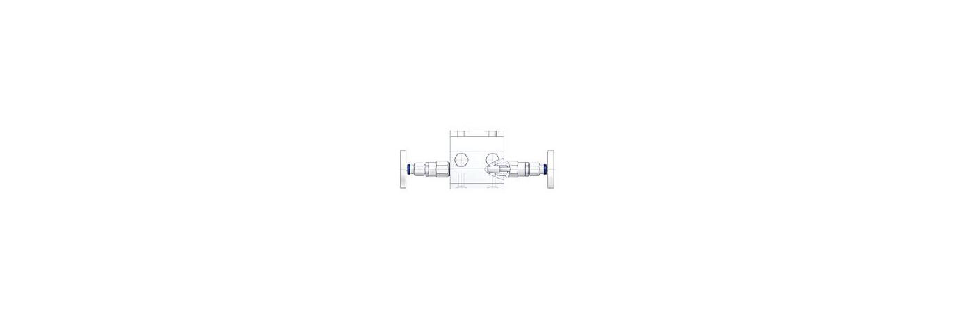 AS-4301-2-valve-manifold-1-EN