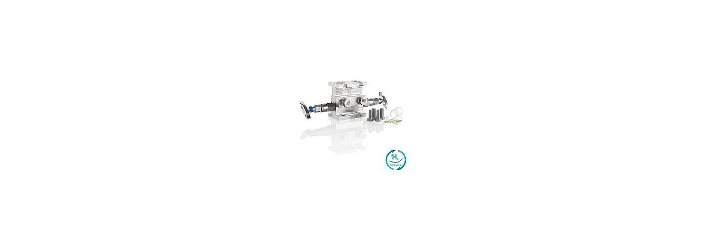 AS-4301-2-valve-manifolds-photo-H2S-SKA-EN