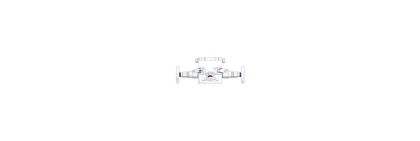 AS-4301-5-valve-manifold-straight-type-1-EN