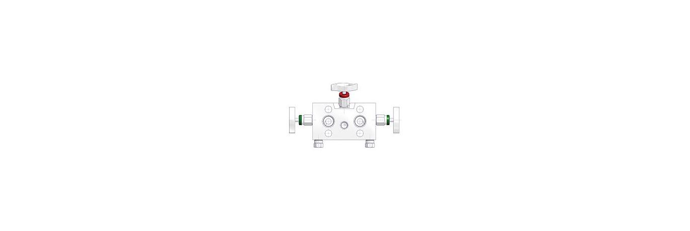 AS-4302-equalizer-manifolds-EM3-type-1-EN