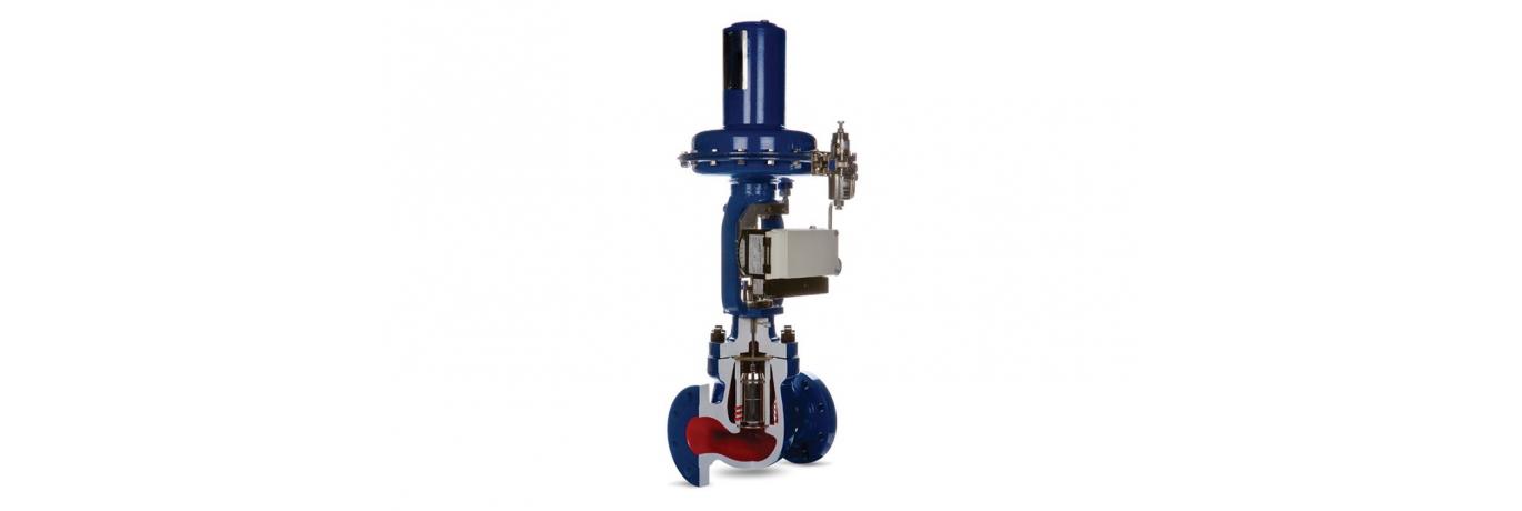 CAGE-GUIDED GLOBE CONTROL VALVE