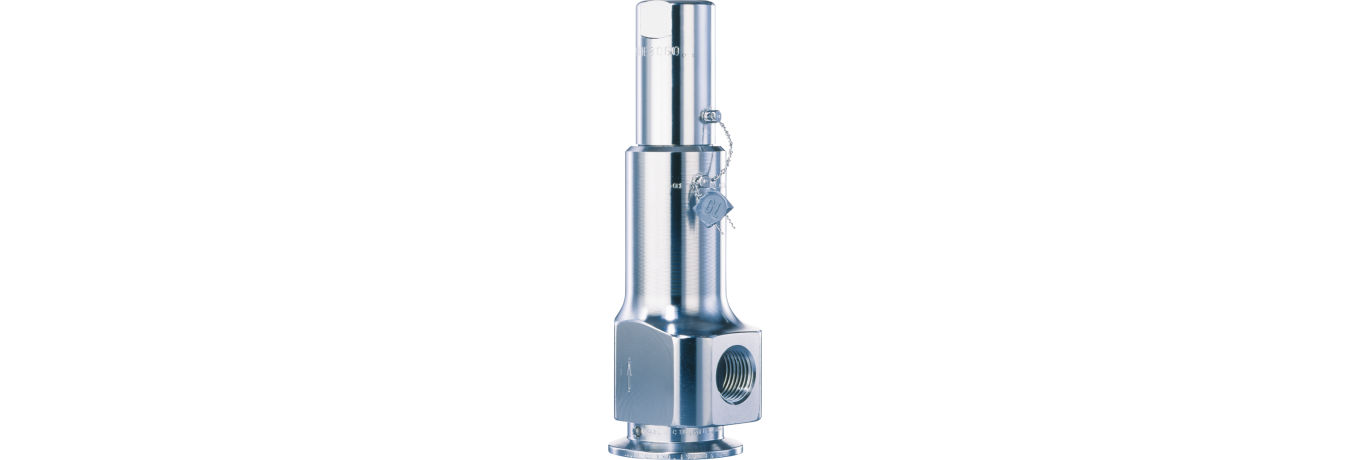 LESER-Clean Service-Type 481-Safety valve-Sicherheitsventil_01