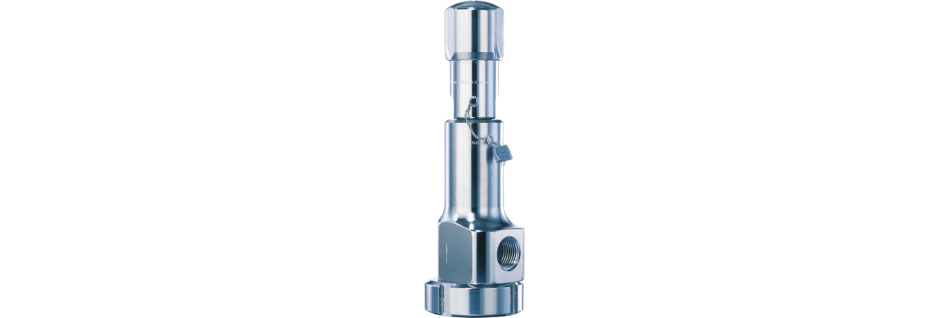 LESER-Clean Service-Type 481-Safety valve-Sicherheitsventil_02