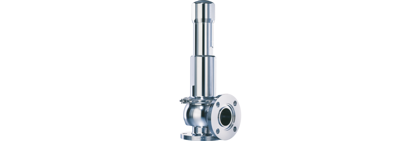 LESER-Clean Service-Type 483-Safety valve-Sicherheitsventil_02
