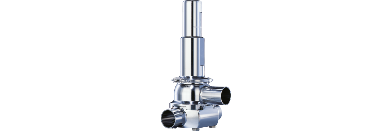 LESER-Clean Service-Type 485-Safety valve-Sicherheitsventil_01
