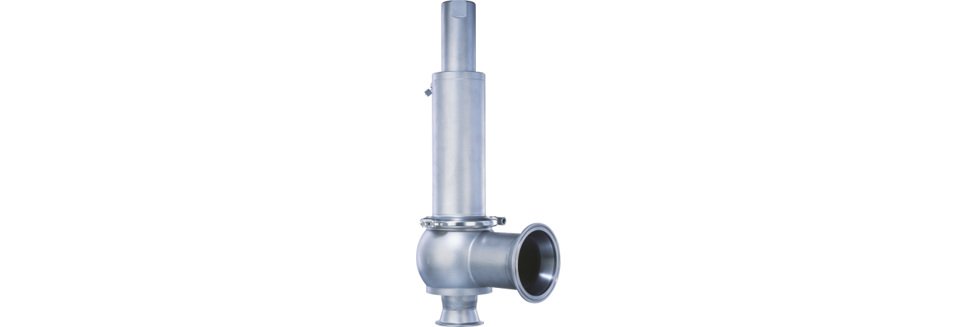 LESER-Clean Service-Type 488-Safety valve-Sicherheitsventil_01