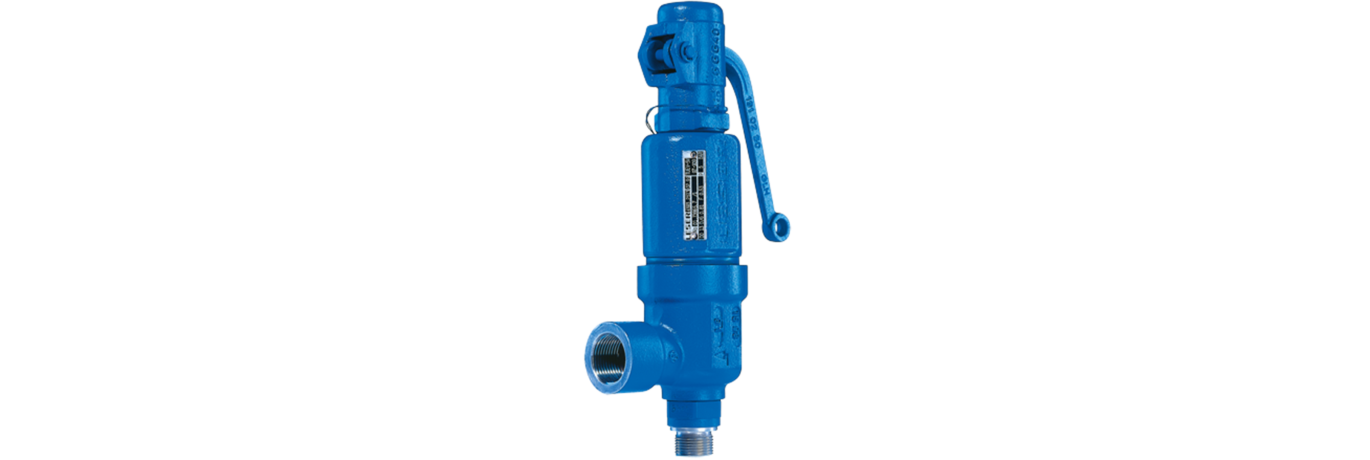 LESER-S_R-Type 460-Safety valve-Sicherheitsventil_01