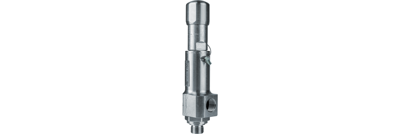 LESER-Type 438-Thermal relief valve-Thermisches Sicherheitsventil-Safety valve_01